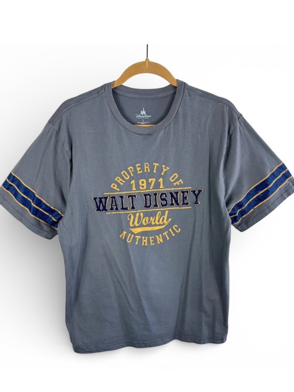 Disney Parks‎ Walt Disney World Property of 1971 Gray Graphic T-Shirt Mens Large